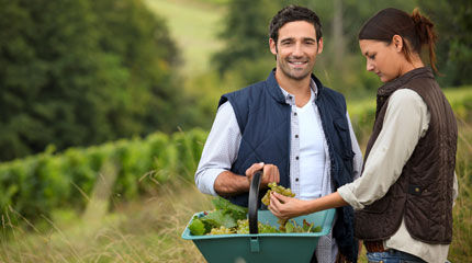Agricoltura,