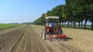 agricoltura