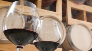 vino