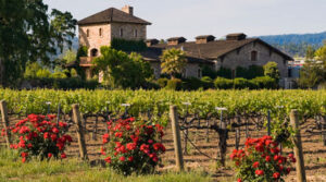 agriturismo