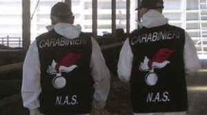 carabinieri-nas