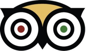 tripadvisor